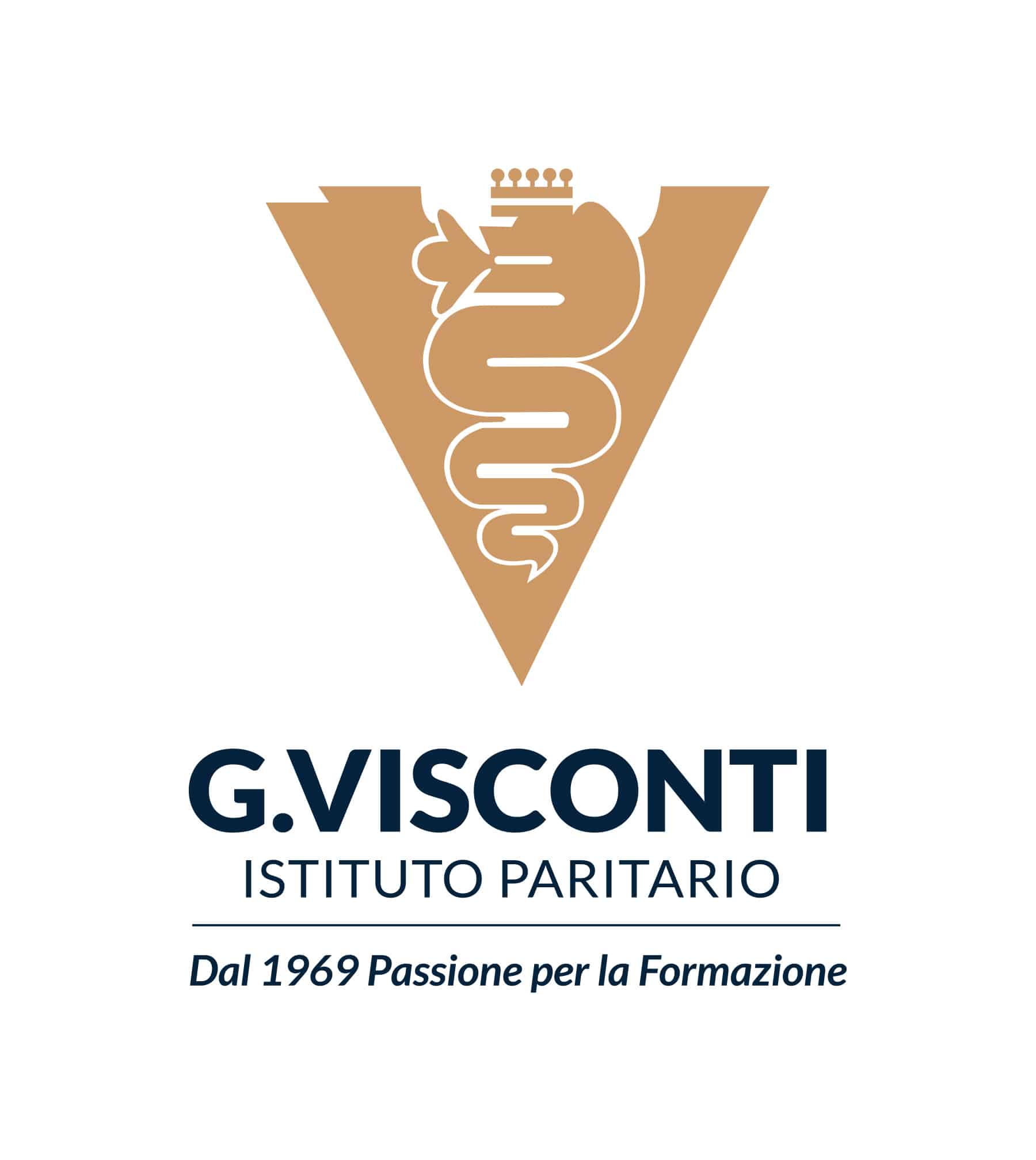TikyAdv - Clienti - Istituto Visconti Roma logo